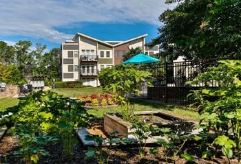 Community garden